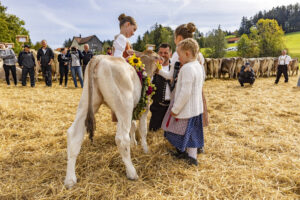 Appenzell, Appenzell Ausserrohden, Appenzeller Vorderland, Landwirtschaft, Schweiz, Suisse, Switzerland, Säntis, Tracht, Viehschau, Wald, Wald AR, Wirtschaft, tradition