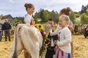 Appenzell, Appenzell Ausserrohden, Appenzeller Vorderland, Landwirtschaft, Schweiz, Suisse, Switzerland, Säntis, Tracht, Viehschau, Wald, Wald AR, Wirtschaft, tradition