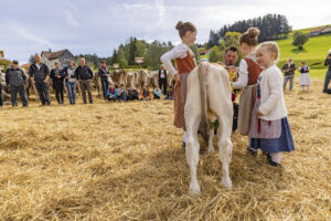 Appenzell, Appenzell Ausserrohden, Appenzeller Vorderland, Landwirtschaft, Schweiz, Suisse, Switzerland, Säntis, Tracht, Viehschau, Wald, Wald AR, Wirtschaft, tradition