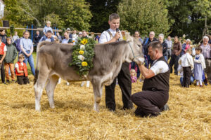 Appenzell, Appenzell Ausserrohden, Appenzeller Vorderland, Landwirtschaft, Schweiz, Suisse, Switzerland, Säntis, Tracht, Viehschau, Wald, Wald AR, Wirtschaft, tradition