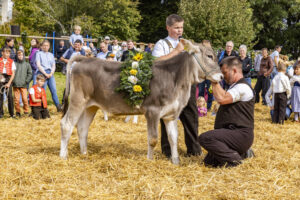 Appenzell, Appenzell Ausserrohden, Appenzeller Vorderland, Landwirtschaft, Schweiz, Suisse, Switzerland, Säntis, Tracht, Viehschau, Wald, Wald AR, Wirtschaft, tradition