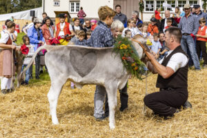 Appenzell, Appenzell Ausserrohden, Appenzeller Vorderland, Landwirtschaft, Schweiz, Suisse, Switzerland, Säntis, Tracht, Viehschau, Wald, Wald AR, Wirtschaft, tradition