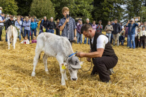 Appenzell, Appenzell Ausserrohden, Appenzeller Vorderland, Landwirtschaft, Schweiz, Suisse, Switzerland, Säntis, Tracht, Viehschau, Wald, Wald AR, Wirtschaft, tradition