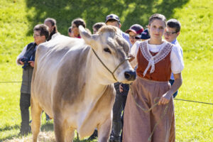 Appenzell, Appenzell Ausserrohden, Appenzeller Hinterland, Autumn, Fall, Herbst, Landwirtschaft, Ostschweiz, Schweiz, Sennen, Suisse, Switzerland, Tracht, Viehschau, Waldstatt, Wirtschaft, tradition
