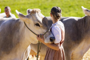 Appenzell, Appenzell Ausserrohden, Appenzeller Hinterland, Autumn, Fall, Herbst, Landwirtschaft, Ostschweiz, Schweiz, Sennen, Suisse, Switzerland, Tracht, Viehschau, Waldstatt, Wirtschaft, tradition