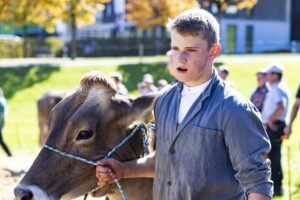 Appenzell, Appenzell Ausserrohden, Appenzeller Hinterland, Autumn, Fall, Herbst, Landwirtschaft, Ostschweiz, Schweiz, Sennen, Suisse, Switzerland, Tracht, Viehschau, Waldstatt, Wirtschaft, tradition