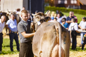 Appenzell, Appenzell Ausserrohden, Appenzeller Hinterland, Autumn, Fall, Herbst, Landwirtschaft, Ostschweiz, Schweiz, Sennen, Suisse, Switzerland, Tracht, Viehschau, Waldstatt, Wirtschaft, tradition