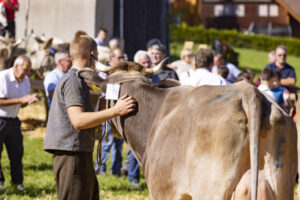 Appenzell, Appenzell Ausserrohden, Appenzeller Hinterland, Autumn, Fall, Herbst, Landwirtschaft, Ostschweiz, Schweiz, Sennen, Suisse, Switzerland, Tracht, Viehschau, Waldstatt, Wirtschaft, tradition