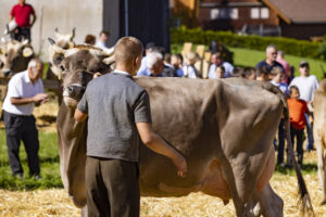 Appenzell, Appenzell Ausserrohden, Appenzeller Hinterland, Autumn, Fall, Herbst, Landwirtschaft, Ostschweiz, Schweiz, Sennen, Suisse, Switzerland, Tracht, Viehschau, Waldstatt, Wirtschaft, tradition