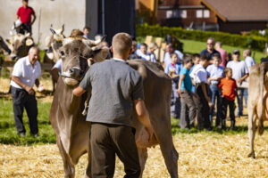 Appenzell, Appenzell Ausserrohden, Appenzeller Hinterland, Autumn, Fall, Herbst, Landwirtschaft, Ostschweiz, Schweiz, Sennen, Suisse, Switzerland, Tracht, Viehschau, Waldstatt, Wirtschaft, tradition