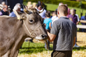 Appenzell, Appenzell Ausserrohden, Appenzeller Hinterland, Autumn, Fall, Herbst, Landwirtschaft, Ostschweiz, Schweiz, Sennen, Suisse, Switzerland, Tracht, Viehschau, Waldstatt, Wirtschaft, tradition
