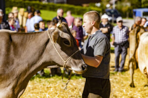 Appenzell, Appenzell Ausserrohden, Appenzeller Hinterland, Autumn, Fall, Herbst, Landwirtschaft, Ostschweiz, Schweiz, Sennen, Suisse, Switzerland, Tracht, Viehschau, Waldstatt, Wirtschaft, tradition