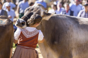 Appenzell, Appenzell Ausserrohden, Appenzeller Hinterland, Autumn, Fall, Herbst, Landwirtschaft, Ostschweiz, Schweiz, Sennen, Suisse, Switzerland, Tracht, Viehschau, Waldstatt, Wirtschaft, tradition