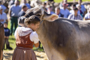 Appenzell, Appenzell Ausserrohden, Appenzeller Hinterland, Autumn, Fall, Herbst, Landwirtschaft, Ostschweiz, Schweiz, Sennen, Suisse, Switzerland, Tracht, Viehschau, Waldstatt, Wirtschaft, tradition