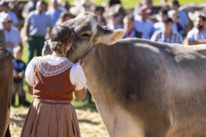 Appenzell, Appenzell Ausserrohden, Appenzeller Hinterland, Autumn, Fall, Herbst, Landwirtschaft, Ostschweiz, Schweiz, Sennen, Suisse, Switzerland, Tracht, Viehschau, Waldstatt, Wirtschaft, tradition