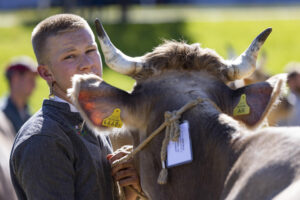Appenzell, Appenzell Ausserrohden, Appenzeller Hinterland, Autumn, Fall, Herbst, Landwirtschaft, Ostschweiz, Schweiz, Sennen, Suisse, Switzerland, Tracht, Viehschau, Waldstatt, Wirtschaft, tradition