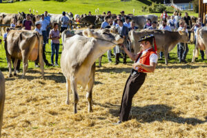 Appenzell, Appenzell Ausserrohden, Appenzeller Hinterland, Autumn, Fall, Herbst, Landwirtschaft, Ostschweiz, Schweiz, Sennen, Suisse, Switzerland, Tracht, Viehschau, Waldstatt, Wirtschaft, tradition