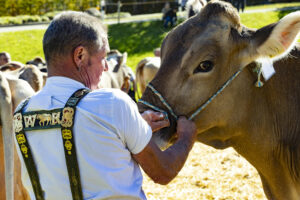 Appenzell, Appenzell Ausserrohden, Appenzeller Hinterland, Autumn, Fall, Herbst, Landwirtschaft, Ostschweiz, Schweiz, Sennen, Suisse, Switzerland, Tracht, Viehschau, Waldstatt, Wirtschaft, tradition