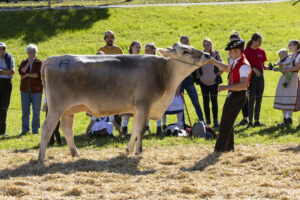 Appenzell, Appenzell Ausserrohden, Appenzeller Hinterland, Autumn, Fall, Herbst, Landwirtschaft, Ostschweiz, Schweiz, Sennen, Suisse, Switzerland, Tracht, Viehschau, Waldstatt, Wirtschaft, tradition