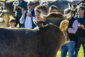 Appenzell, Appenzell Ausserrohden, Appenzeller Hinterland, Autumn, Fall, Herbst, Landwirtschaft, Ostschweiz, Schweiz, Sennen, Suisse, Switzerland, Tracht, Viehschau, Waldstatt, Wirtschaft, tradition
