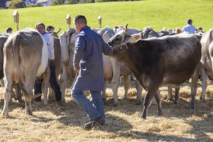 Appenzell, Appenzell Ausserrohden, Appenzeller Hinterland, Autumn, Fall, Herbst, Landwirtschaft, Ostschweiz, Schweiz, Sennen, Suisse, Switzerland, Tracht, Viehschau, Waldstatt, Wirtschaft, tradition