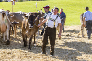 Appenzell, Appenzell Ausserrohden, Appenzeller Hinterland, Autumn, Fall, Herbst, Landwirtschaft, Ostschweiz, Schweiz, Sennen, Suisse, Switzerland, Tracht, Viehschau, Waldstatt, Wirtschaft, tradition