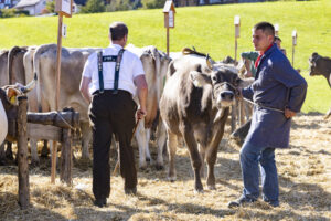 Appenzell, Appenzell Ausserrohden, Appenzeller Hinterland, Autumn, Fall, Herbst, Landwirtschaft, Ostschweiz, Schweiz, Sennen, Suisse, Switzerland, Tracht, Viehschau, Waldstatt, Wirtschaft, tradition