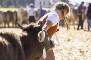 Appenzell, Appenzell Ausserrohden, Appenzeller Hinterland, Autumn, Fall, Herbst, Landwirtschaft, Ostschweiz, Schweiz, Sennen, Suisse, Switzerland, Tracht, Viehschau, Waldstatt, Wirtschaft, tradition