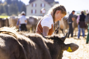 Appenzell, Appenzell Ausserrohden, Appenzeller Hinterland, Autumn, Fall, Herbst, Landwirtschaft, Ostschweiz, Schweiz, Sennen, Suisse, Switzerland, Tracht, Viehschau, Waldstatt, Wirtschaft, tradition