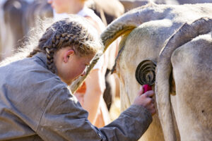 Appenzell, Appenzell Ausserrohden, Appenzeller Hinterland, Autumn, Fall, Herbst, Landwirtschaft, Ostschweiz, Schweiz, Sennen, Suisse, Switzerland, Tracht, Viehschau, Waldstatt, Wirtschaft, tradition