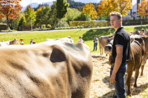 Appenzell, Appenzell Ausserrohden, Appenzeller Hinterland, Autumn, Fall, Herbst, Landwirtschaft, Ostschweiz, Schweiz, Sennen, Suisse, Switzerland, Tracht, Viehschau, Waldstatt, Wirtschaft, tradition