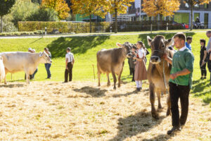 Appenzell, Appenzell Ausserrohden, Appenzeller Hinterland, Autumn, Fall, Herbst, Landwirtschaft, Ostschweiz, Schweiz, Sennen, Suisse, Switzerland, Tracht, Viehschau, Waldstatt, Wirtschaft, tradition