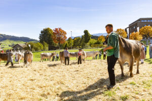 Appenzell, Appenzell Ausserrohden, Appenzeller Hinterland, Autumn, Fall, Herbst, Landwirtschaft, Ostschweiz, Schweiz, Sennen, Suisse, Switzerland, Tracht, Viehschau, Waldstatt, Wirtschaft, tradition