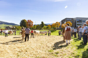 Appenzell, Appenzell Ausserrohden, Appenzeller Hinterland, Autumn, Fall, Herbst, Landwirtschaft, Ostschweiz, Schweiz, Sennen, Suisse, Switzerland, Tracht, Viehschau, Waldstatt, Wirtschaft, tradition