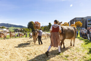Appenzell, Appenzell Ausserrohden, Appenzeller Hinterland, Autumn, Fall, Herbst, Landwirtschaft, Ostschweiz, Schweiz, Sennen, Suisse, Switzerland, Tracht, Viehschau, Waldstatt, Wirtschaft, tradition
