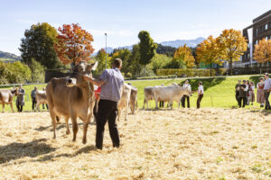 Appenzell, Appenzell Ausserrohden, Appenzeller Hinterland, Autumn, Fall, Herbst, Landwirtschaft, Ostschweiz, Schweiz, Sennen, Suisse, Switzerland, Tracht, Viehschau, Waldstatt, Wirtschaft, tradition