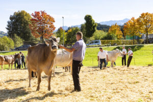Appenzell, Appenzell Ausserrohden, Appenzeller Hinterland, Autumn, Fall, Herbst, Landwirtschaft, Ostschweiz, Schweiz, Sennen, Suisse, Switzerland, Tracht, Viehschau, Waldstatt, Wirtschaft, tradition
