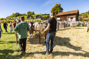Appenzell, Appenzell Ausserrohden, Appenzeller Hinterland, Autumn, Fall, Herbst, Landwirtschaft, Ostschweiz, Schweiz, Sennen, Suisse, Switzerland, Tracht, Viehschau, Waldstatt, Wirtschaft, tradition