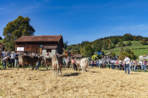 Appenzell, Appenzell Ausserrohden, Appenzeller Hinterland, Autumn, Fall, Herbst, Landwirtschaft, Ostschweiz, Schweiz, Sennen, Suisse, Switzerland, Tracht, Viehschau, Waldstatt, Wirtschaft, tradition
