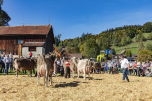 Appenzell, Appenzell Ausserrohden, Appenzeller Hinterland, Autumn, Fall, Herbst, Landwirtschaft, Ostschweiz, Schweiz, Sennen, Suisse, Switzerland, Tracht, Viehschau, Waldstatt, Wirtschaft, tradition