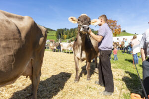 Appenzell, Appenzell Ausserrohden, Appenzeller Hinterland, Autumn, Fall, Herbst, Landwirtschaft, Ostschweiz, Schweiz, Sennen, Suisse, Switzerland, Tracht, Viehschau, Waldstatt, Wirtschaft, tradition