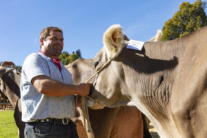 Appenzell, Appenzell Ausserrohden, Appenzeller Hinterland, Autumn, Fall, Herbst, Landwirtschaft, Ostschweiz, Schweiz, Sennen, Suisse, Switzerland, Tracht, Viehschau, Waldstatt, Wirtschaft, tradition