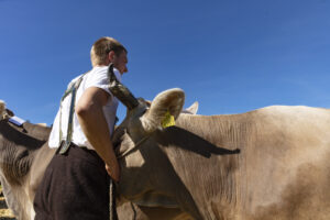 Appenzell, Appenzell Ausserrohden, Appenzeller Hinterland, Autumn, Fall, Herbst, Landwirtschaft, Ostschweiz, Schweiz, Sennen, Suisse, Switzerland, Tracht, Viehschau, Waldstatt, Wirtschaft, tradition
