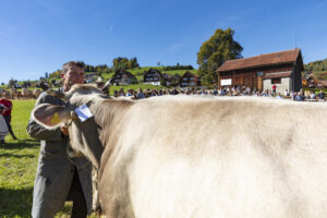 Appenzell, Appenzell Ausserrohden, Appenzeller Hinterland, Autumn, Fall, Herbst, Landwirtschaft, Ostschweiz, Schweiz, Sennen, Suisse, Switzerland, Tracht, Viehschau, Waldstatt, Wirtschaft, tradition