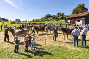 Appenzell, Appenzell Ausserrohden, Appenzeller Hinterland, Autumn, Fall, Herbst, Landwirtschaft, Ostschweiz, Schweiz, Sennen, Suisse, Switzerland, Tracht, Viehschau, Waldstatt, Wirtschaft, tradition