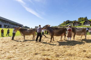 Appenzell, Appenzell Ausserrohden, Appenzeller Hinterland, Autumn, Fall, Herbst, Landwirtschaft, Ostschweiz, Schweiz, Sennen, Suisse, Switzerland, Tracht, Viehschau, Waldstatt, Wirtschaft, tradition