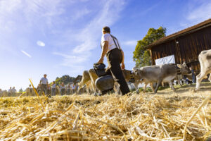 Appenzell, Appenzell Ausserrohden, Appenzeller Hinterland, Autumn, Fall, Herbst, Landwirtschaft, Ostschweiz, Schweiz, Sennen, Suisse, Switzerland, Tracht, Viehschau, Waldstatt, Wirtschaft, tradition