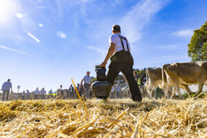 Appenzell, Appenzell Ausserrohden, Appenzeller Hinterland, Autumn, Fall, Herbst, Landwirtschaft, Ostschweiz, Schweiz, Sennen, Suisse, Switzerland, Tracht, Viehschau, Waldstatt, Wirtschaft, tradition