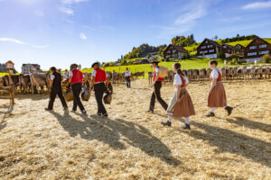 Appenzell, Appenzell Ausserrohden, Appenzeller Hinterland, Autumn, Fall, Herbst, Landwirtschaft, Ostschweiz, Schweiz, Sennen, Suisse, Switzerland, Tracht, Viehschau, Waldstatt, Wirtschaft, tradition