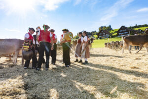 Appenzell, Appenzell Ausserrohden, Appenzeller Hinterland, Autumn, Fall, Herbst, Landwirtschaft, Ostschweiz, Schweiz, Sennen, Suisse, Switzerland, Tracht, Viehschau, Waldstatt, Wirtschaft, tradition